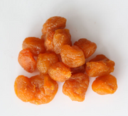 Haj Hasani Plum